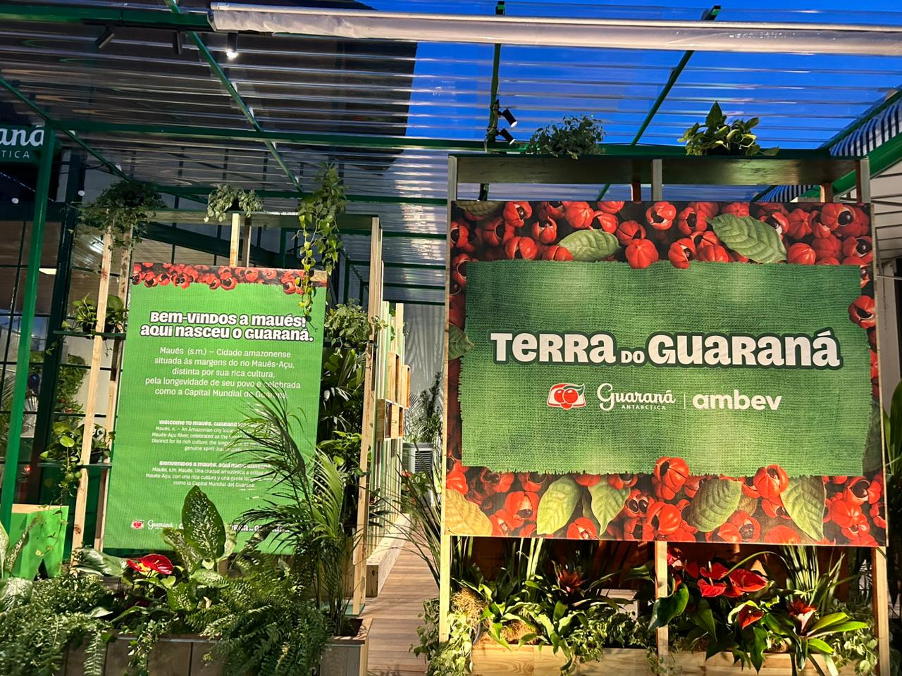 WhatsApp Image 2025-11-12 at 17.33.14(1)