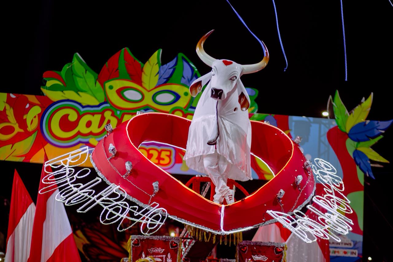 WhatsApp Image 2026-01-29 at 13.31.19