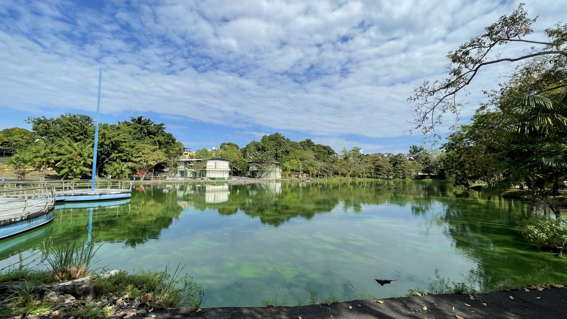 Parque Lagoa do Japiim 2
