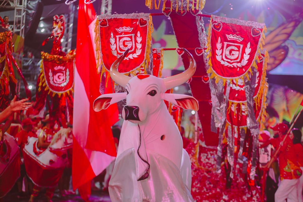 WhatsApp Image 2026-01-29 at 13.31.20