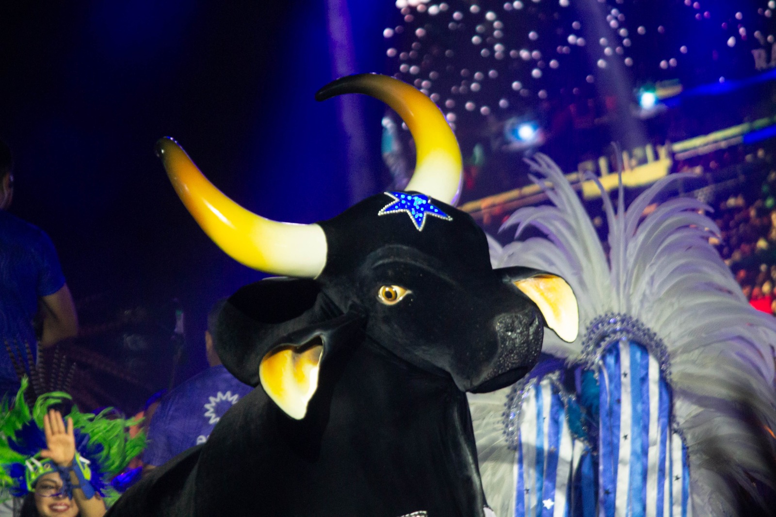 WhatsApp Image 2026-04-26 at 18.37.57