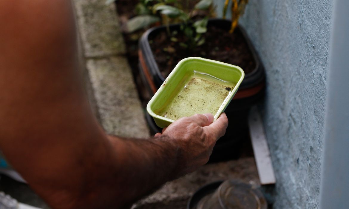 El Niño pode aumentar casos de chikungunya e dengue no Brasil 1 20230330101501 mg 7168