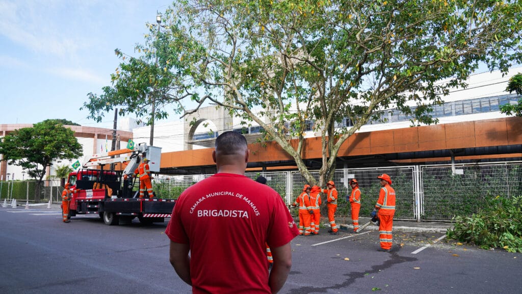 Podagem preventiva no entorno da CMM reforça segurança de servidores, comerciantes e pedestres 2 Podagem preventiva no entorno da CMM reforca seguranca de servidores comerciantes e pedestres 2