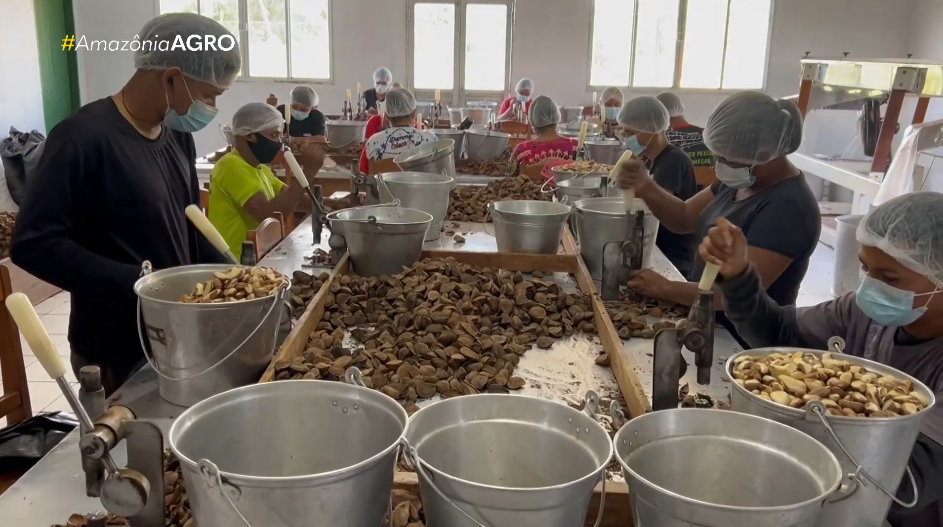 Castanha impulsiona renda de famílias e fortalece economia sustentável em Amaturá, no Amazonas 1 captura de tela 2026 07 19 160112