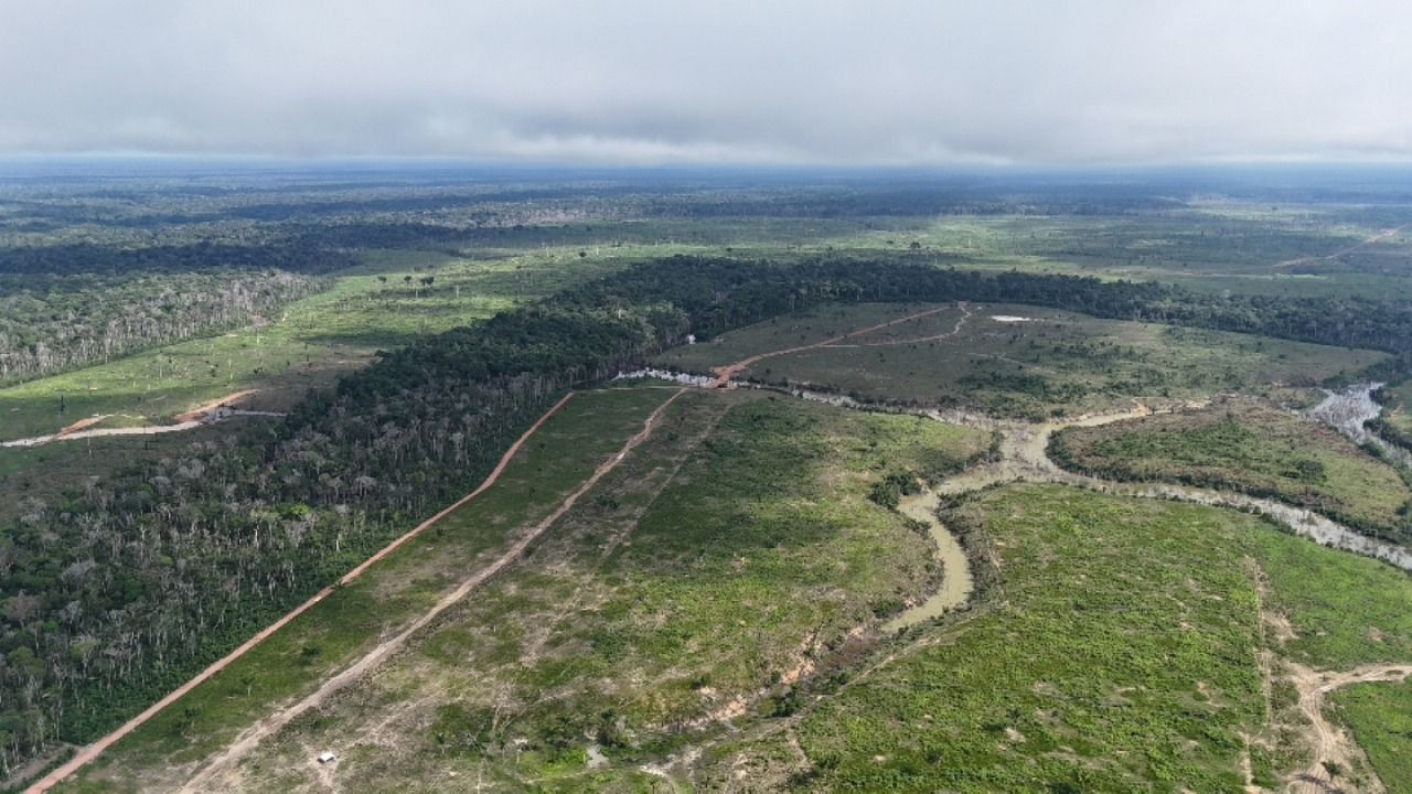Desmatamento cai 38% no Amazonas, mas estado segue como o 3º que mais derruba floresta, aponta Imazon 1 desmatamento ilegal em borba rende maior multa ambiental do amazonas em 2025 foto henrique almeida ipaam