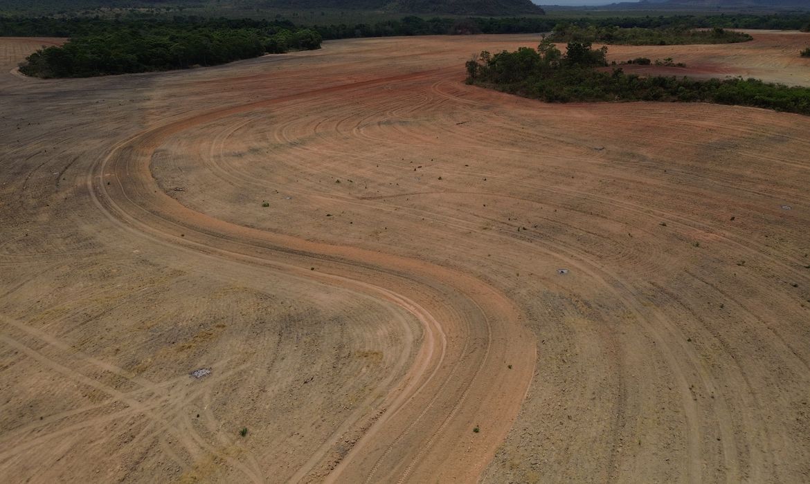 Fim da Moratória da Soja pode ampliar destruição da Amazônia 1 dji 0199 0