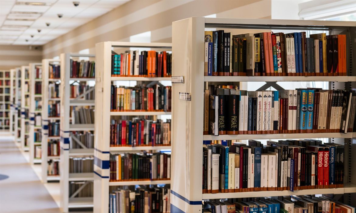 Plataforma gratuita de empréstimo digital tem mais de 24 mil obras 1 library 488690