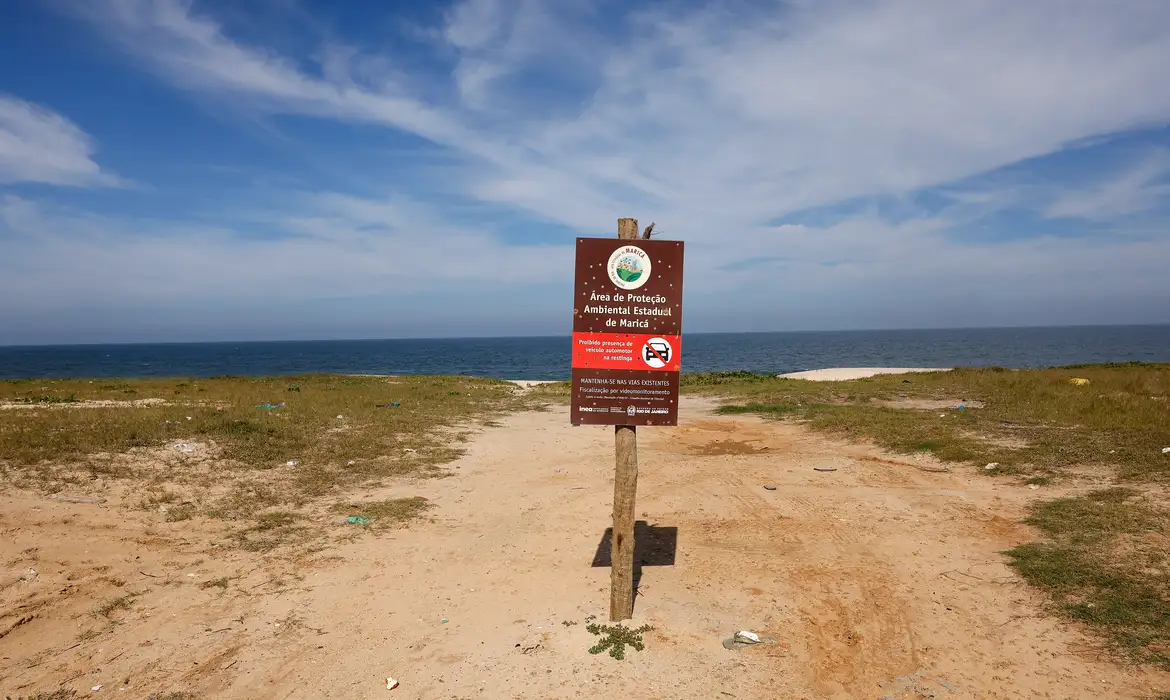 Restinga de Maricá: disputa pelo território opõe empresa e comunidades 1 rbr9058 0