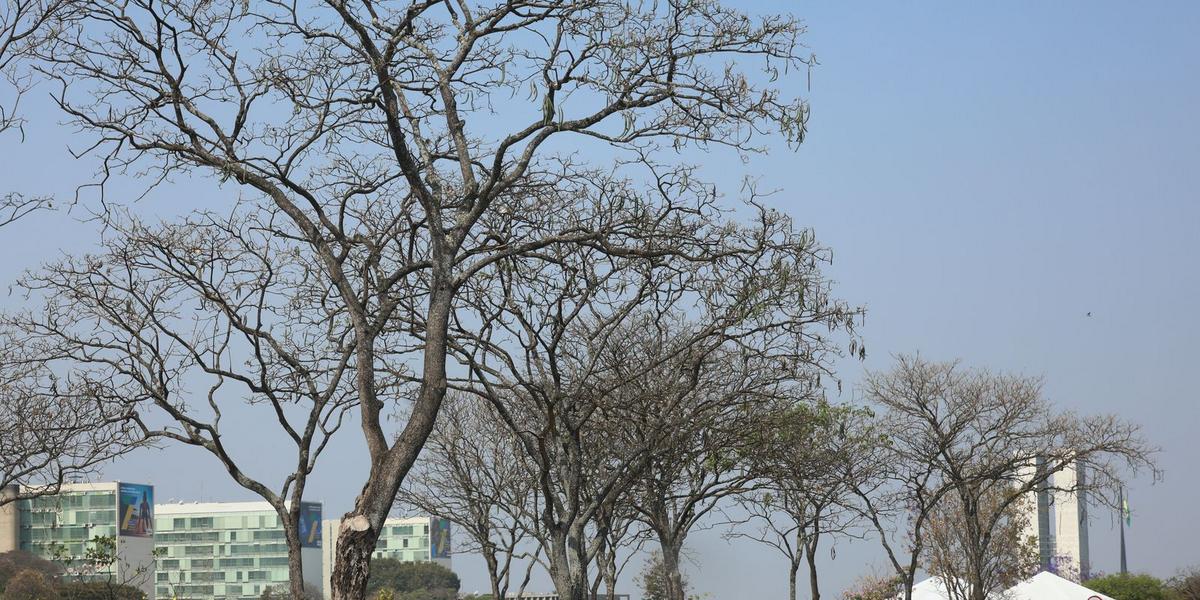 Alerta laranja: 10 estados e o DF enfrentam umidade crítica e risco à saúde 1 0d9a9747