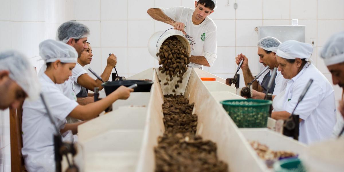 Sustentabilidade em pauta: prazo para produtos brasileiros no acordo Mercosul-UE encerra quarta-feira 1 1021000 00119.05.2016 21