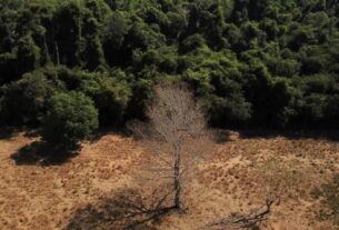 2023 01 04t011928z 1 lynxmpej0300u rtroptp 3 brazil environment