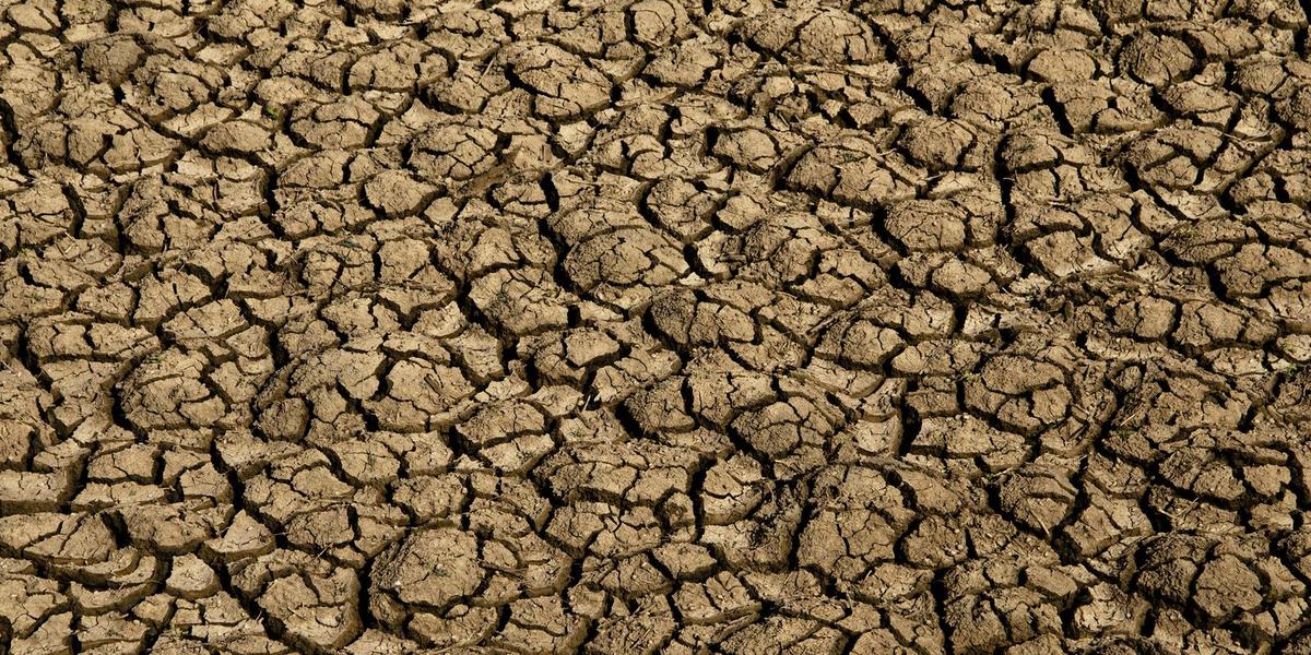 Avanço da desertificação coloca em risco segurança hídrica e alimentar de 39 milhões de brasileiros 1 51193218629 537e724ba4 k