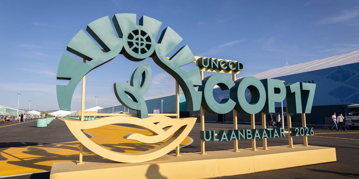 Nordeste busca investimentos internacionais na COP17 para salvar a Caatinga 1 55467590120 42b5dc7feb k