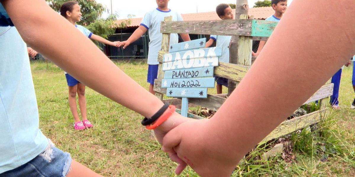 A Cor do Meio: Documentário investiga a construção da identidade parda no Brasil 1 alunos aprendem sobre cultura e ancestralidade no plantio do baoba