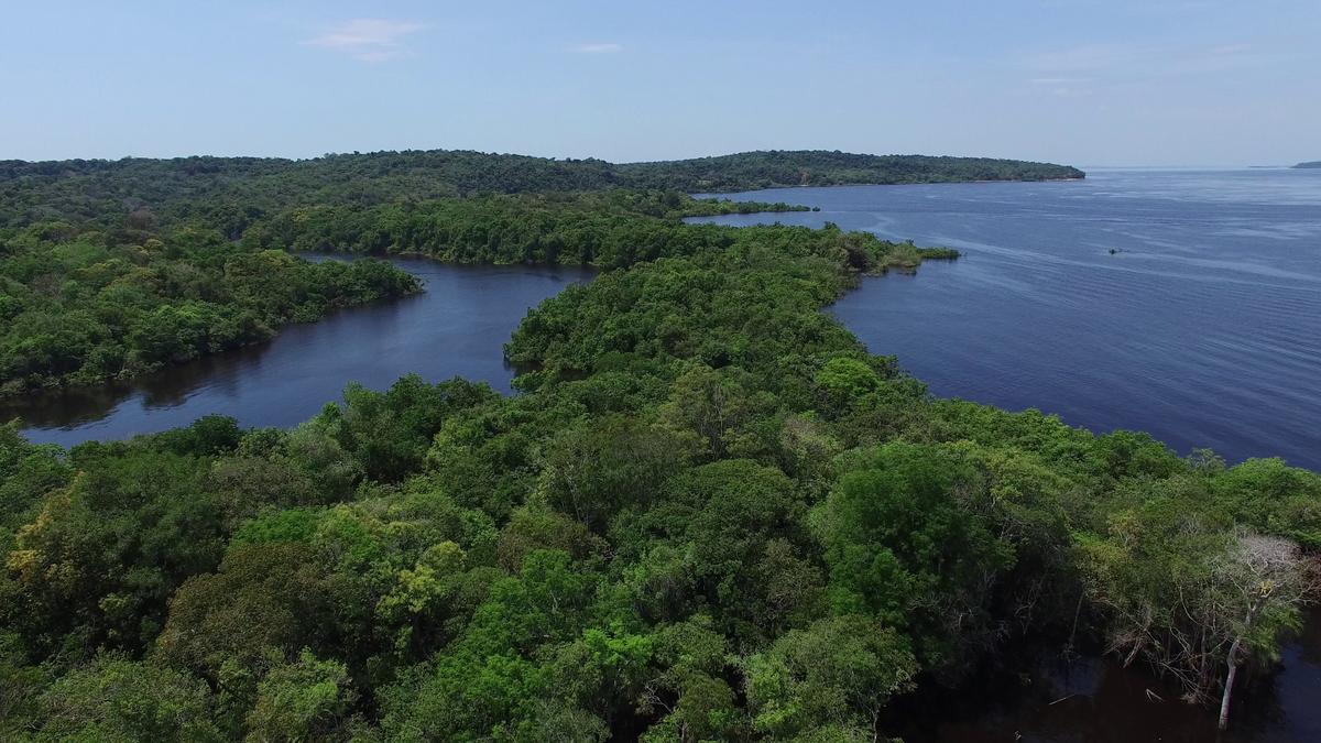 Vale do Javari sob cerco: Crime organizado desafia a segurança e ameaça povos indígenas quatro anos após tragédia 1 amazonriveraventurasproducoes19