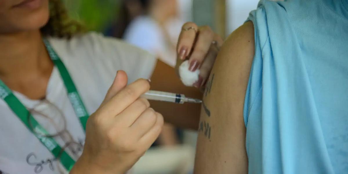 Dia D de Multivacinação: veja como atualizar a caderneta de crianças e jovens neste sábado 1 dsc8066