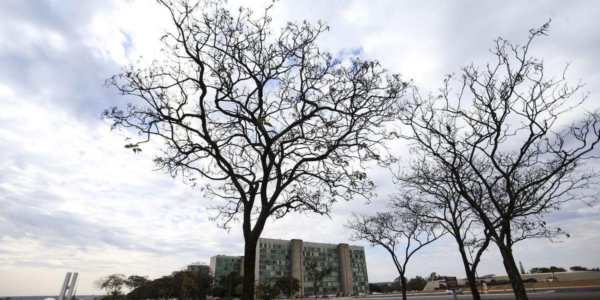 Onda de calor e baixa umidade atingem grande parte do Brasil nesta terça-feira 1 fotoseditadas mcamgo abr 03082018 6532