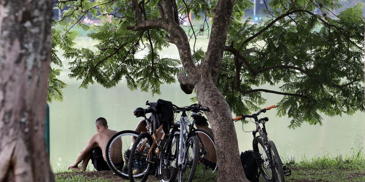 Onda de frio dá trégua: São Paulo se prepara para aquecimento expressivo nos próximos dias 1 pint1326