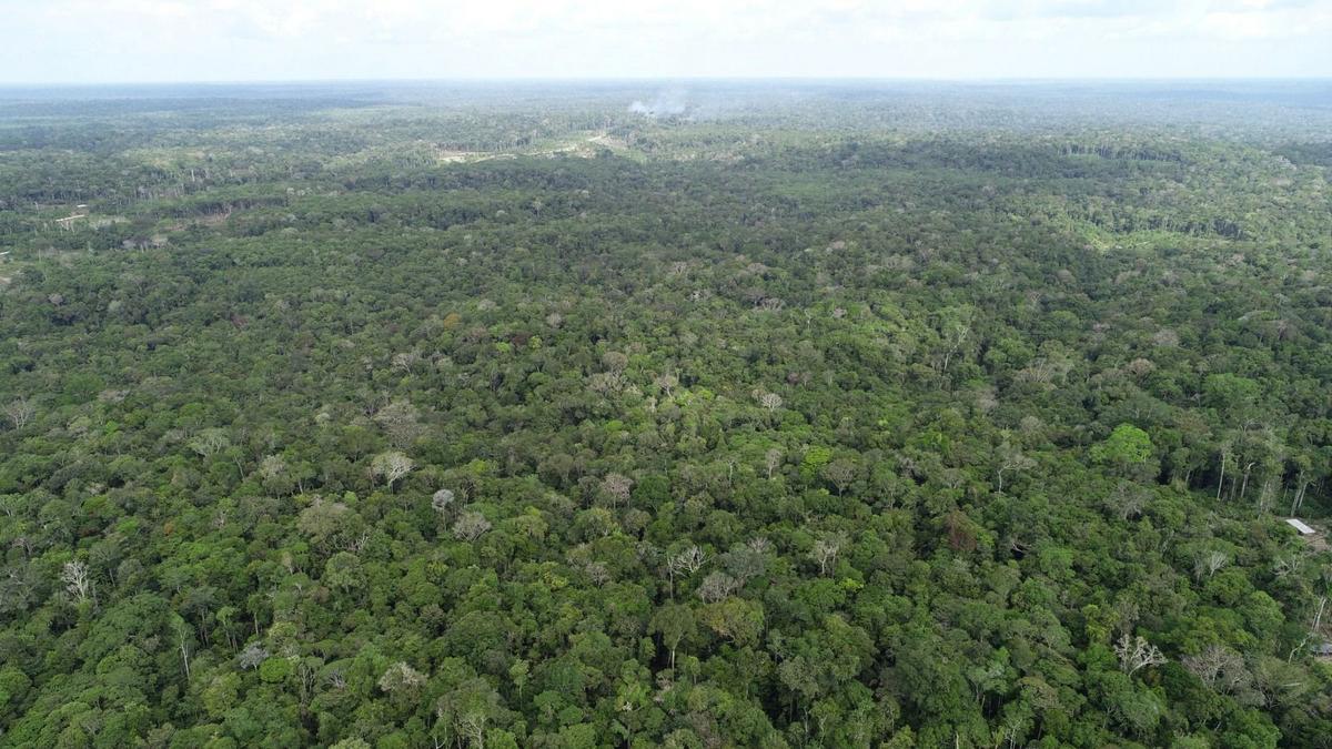 Queimadas sobem 20% no Amazonas em agosto; Apuí é o epicentro do fogo 1 whatsapp image 2025 06 10 at 18.16.27