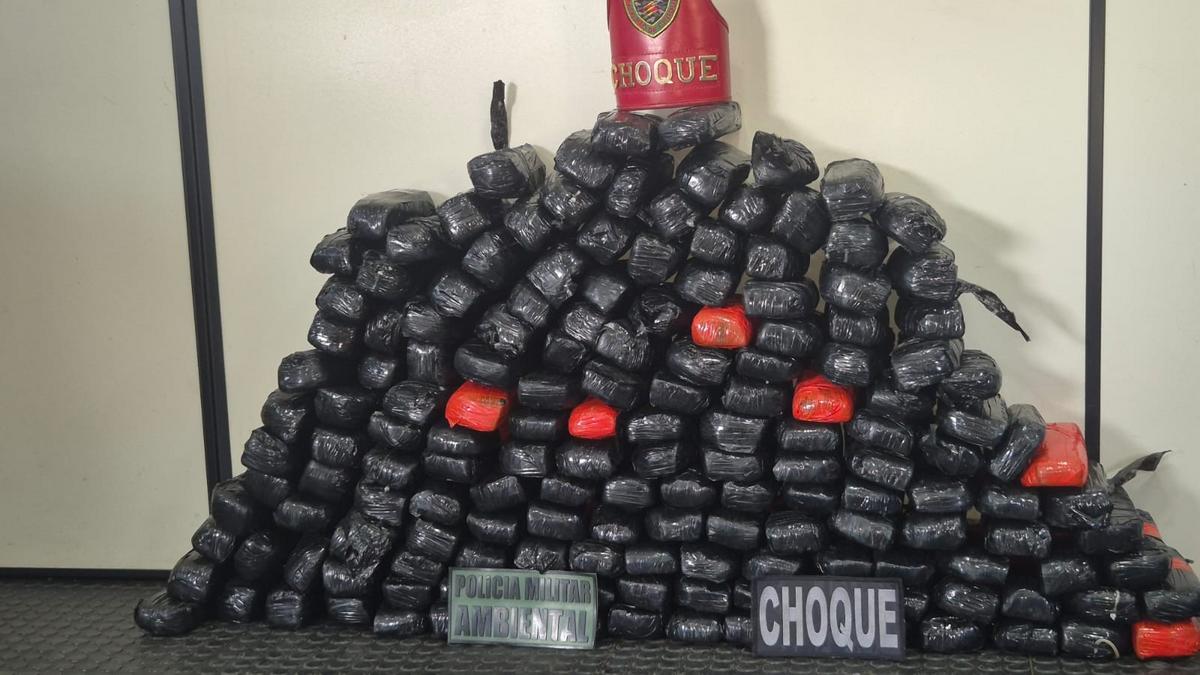 cao farejador ajuda policia a apreender 90 kg de pasta base de cocaina em embarcacao no interior do amazonas foto divulgacao pmam