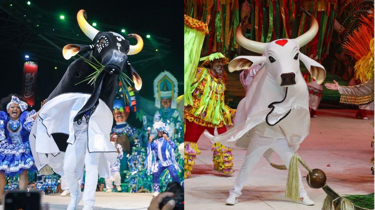 caprichoso e garantido no festival de parintins 2026 fotos secom