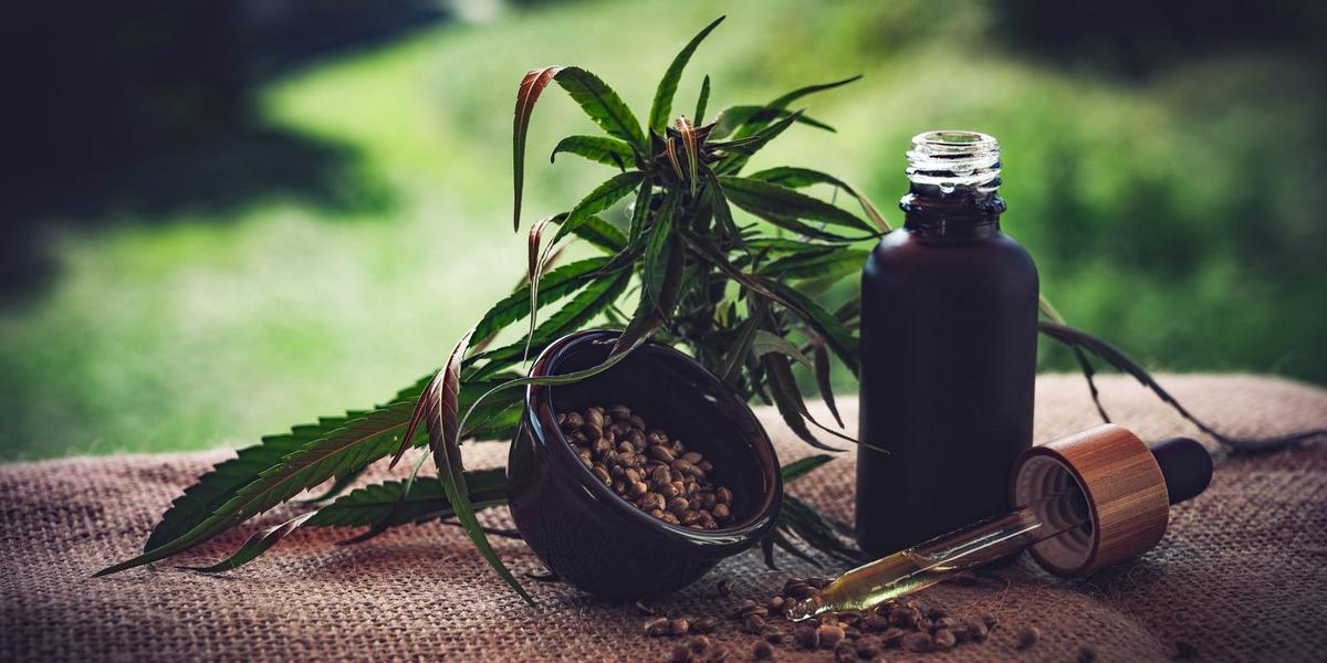 Vazio jurídico na regulamentação da cannabis medicinal gera insegurança em associações no Brasil 1 cbd ol 4470099