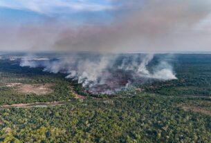 fogo se espalha por mata ha uma semana e ja atinge 686 hectares no interior do amazonas foto liam cavalcante rede amazonica