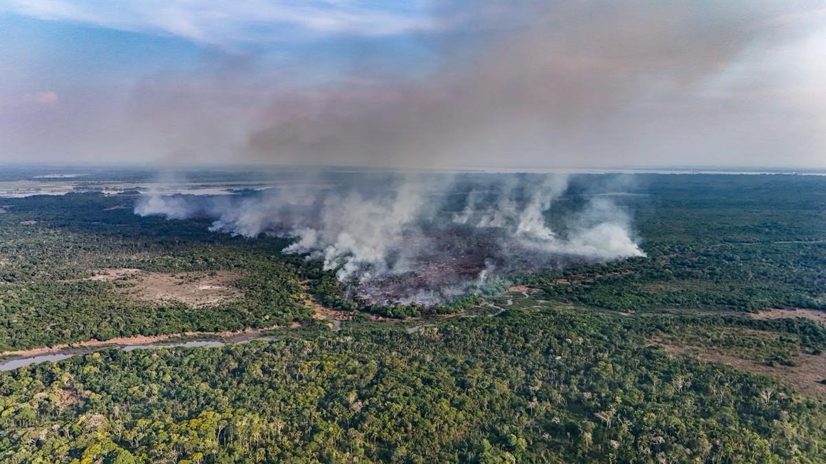 Incêndio florestal consome 686 hectares em Itacoatiara e mobiliza a região 1 fogo se espalha por mata ha uma semana e ja atinge 686 hectares no interior do amazonas foto liam cavalcante rede amazonica