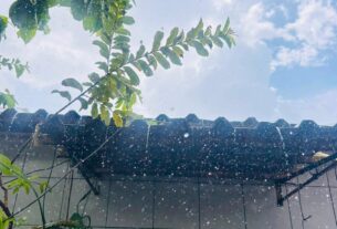 g1 chuva manaus