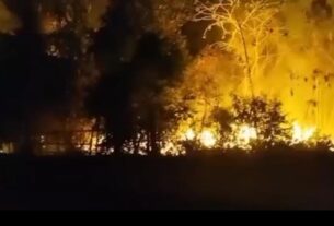 incendio atinge area de mata em maues 1