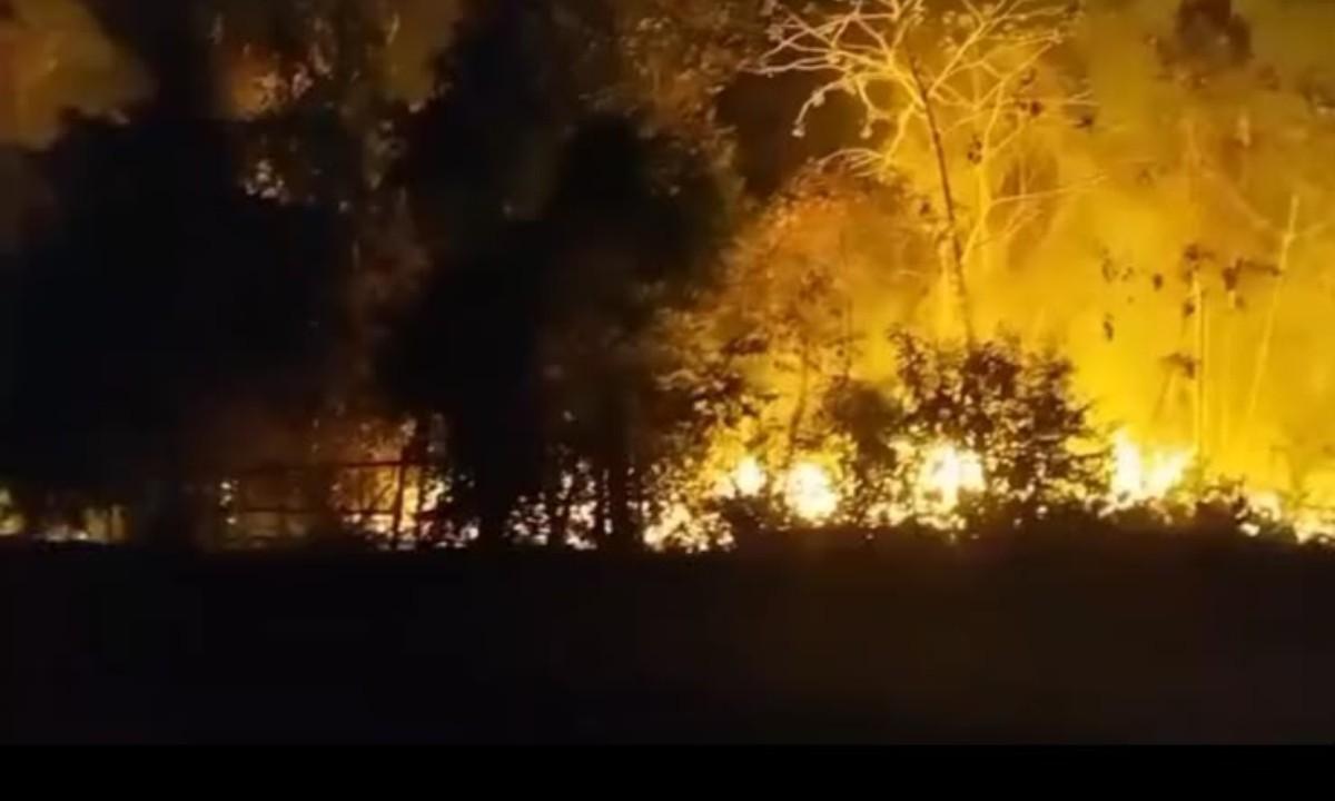 incendio atinge area de mata em maues 1