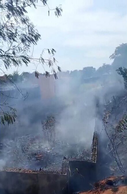 Incêndio em vegetação mobiliza Bombeiros na Avenida Efigênio Salles 1 incendio atinge area de vegetacao na avenida efigenio salles em manaus e1791310520706