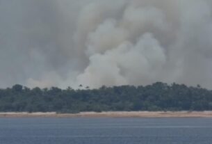 incendio atinge area de vegetacao no interior do amazonas 1