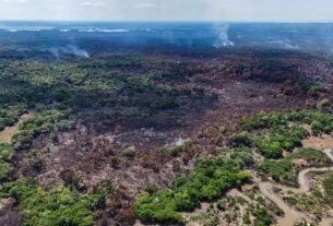 incendio avanca ha 10 dias em itacoatira e ja atinge area equivalente a 1.075 campos de futebol foto liam cavalcante rede amazonica