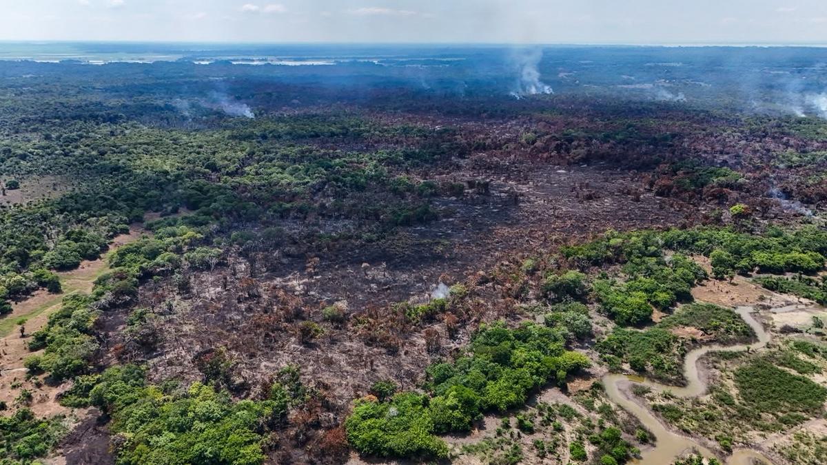 Fogo consome área equivalente a mil campos de futebol em Itacoatiara 1 incendio avanca ha 10 dias em itacoatira e ja atinge area equivalente a 1.075 campos de futebol foto liam cavalcante rede amazonica