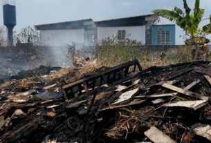 incendio em vegetacao 2