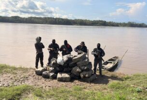 mais de 750 kg de maconha sao encontrados escondidos em comunidade rural do am foto divulgacao