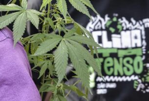 marcha maconha sp 07