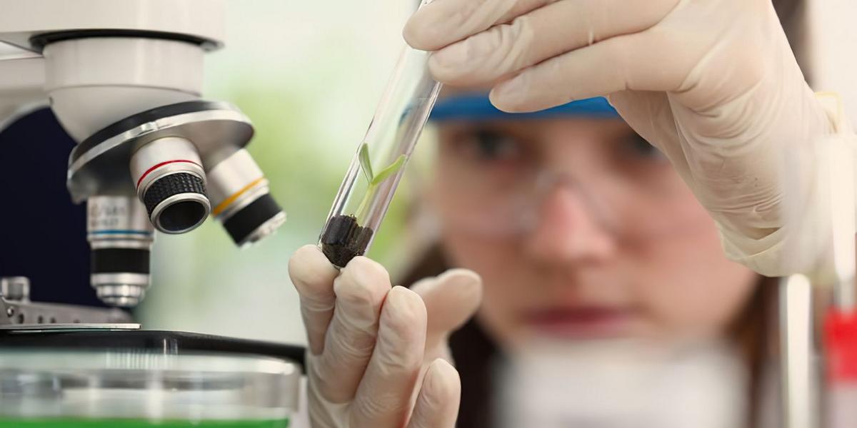 meninas cientistas