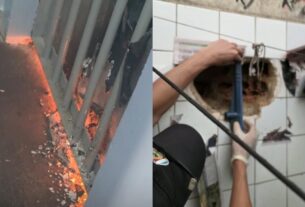 motim em delegacia do interior do amazonas