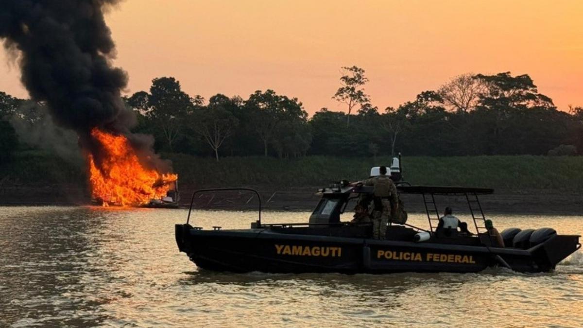 Operação Hidra Dourada: PF inutiliza 27 embarcações em garimpo ilegal no Rio Madeira 1 pf destroi 22 dragas e 5 embarcacoes usadas em garimpo ilegal no rio madeira no am foto divulgacao pf