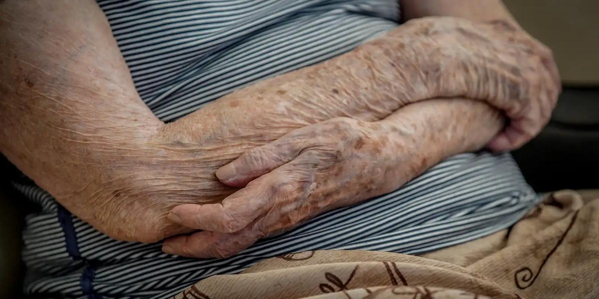 Queda na fome: número de lares com idosos em insegurança alimentar recua no Brasil 1 raf05950