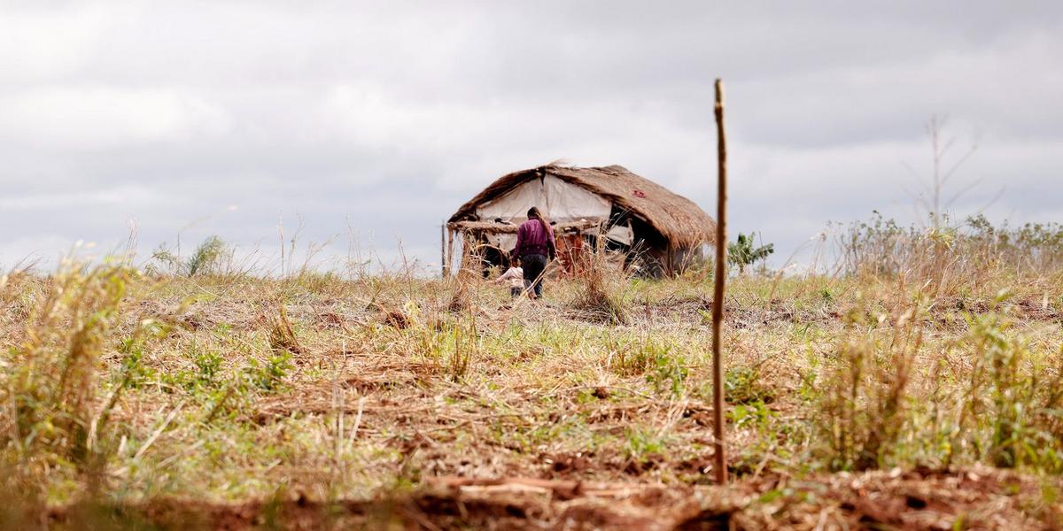 Conflitos agrários sobem no Brasil; Amazonas registra aumento expressivo de 140% 1 rbr7269