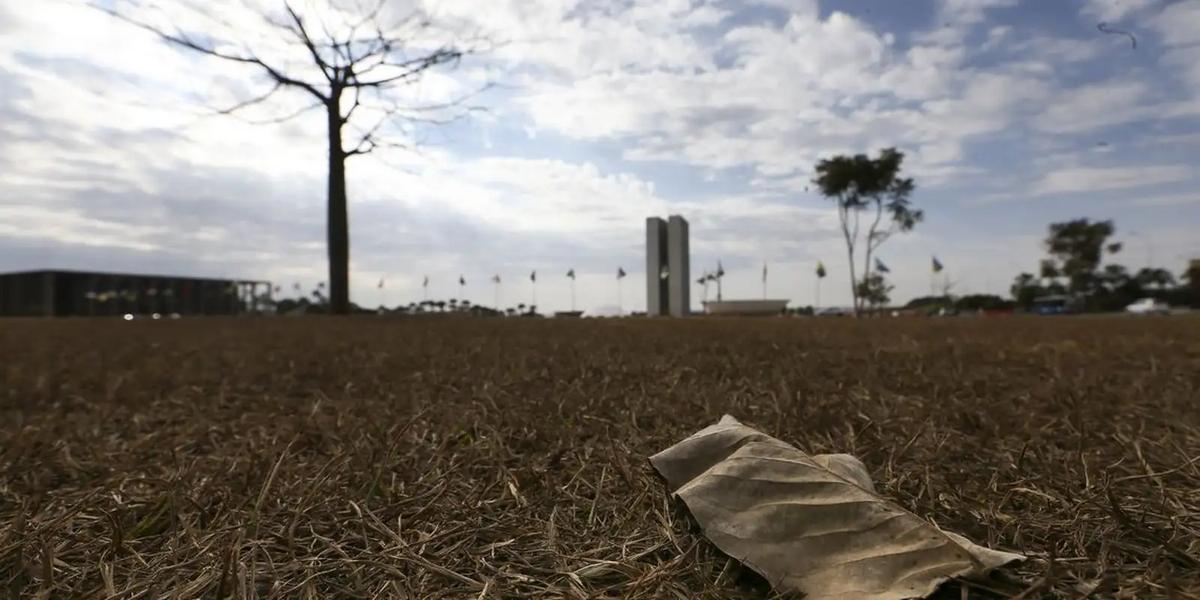 Alerta climático: Planeta deve superar limite de 1,5°C e ameaçar economia e vida no Brasil 1 seca 2