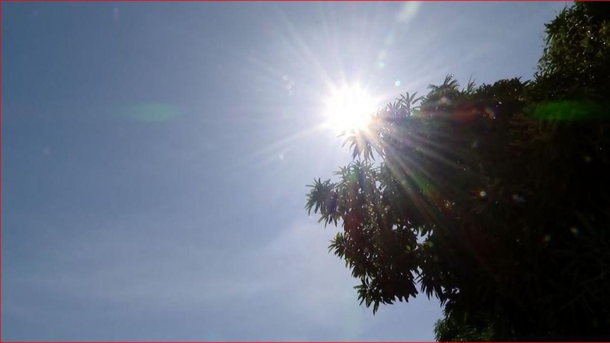 Manaus vive colapso térmico: cidade registra 37,6ºC e bate recorde pelo segundo dia seguido 1 sol e calor em manaus foto rede amazonica