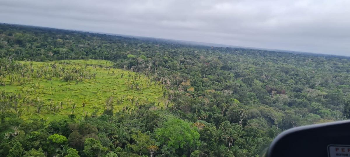 Amazonas ganha quatro novas reservas ambientais para fortalecer a sustentabilidade 1 whatsapp image 2023 06 14 at 07.07.05 1