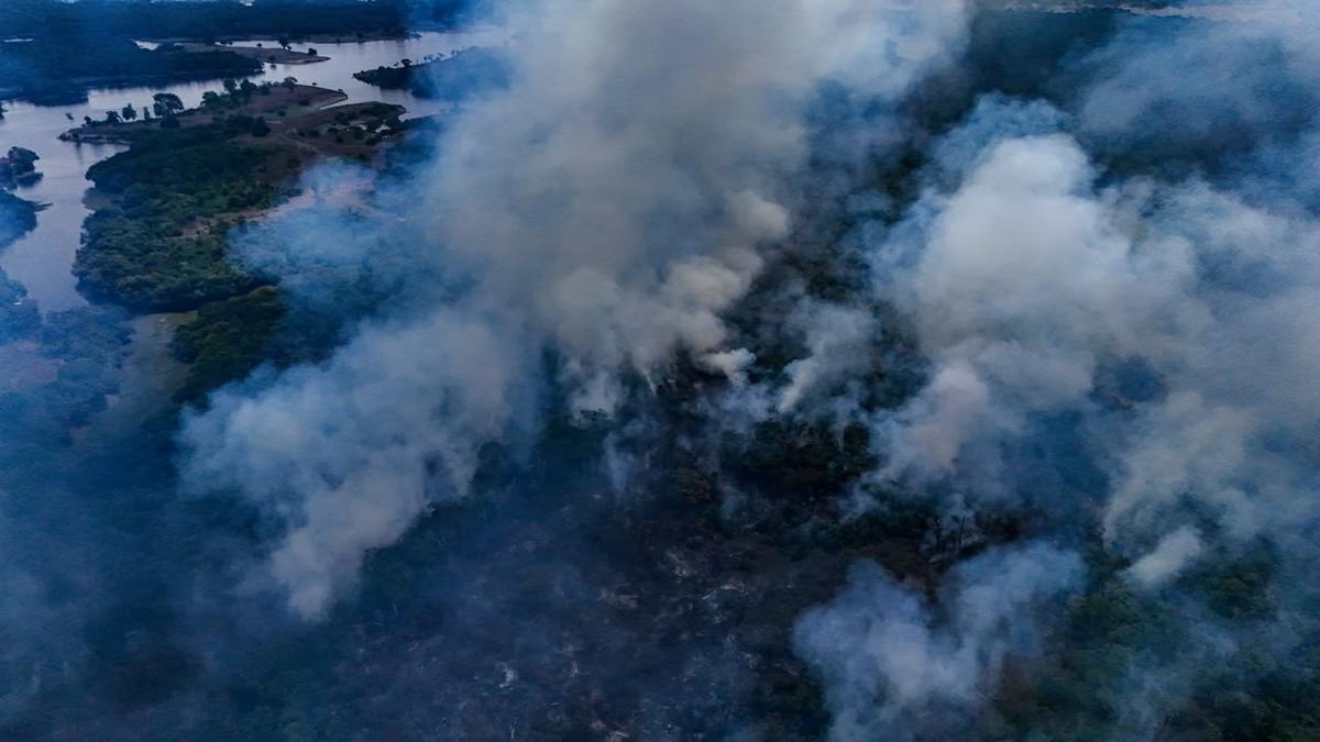 Queimadas fora de controle: Fogo consome mais de 200 hectares e sufoca moradores em Itacoatiara 1 whatsapp image 2026 09 23 at 20.02.25.2