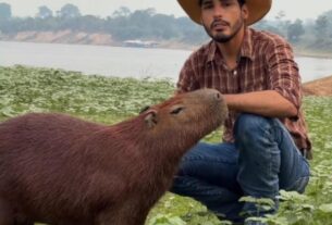 a gente nao vai desistir dessa luta diz influenciador apos justica determinar devolucao de capivara filo ao ibama foto reproducao redes sociais e1792184413334