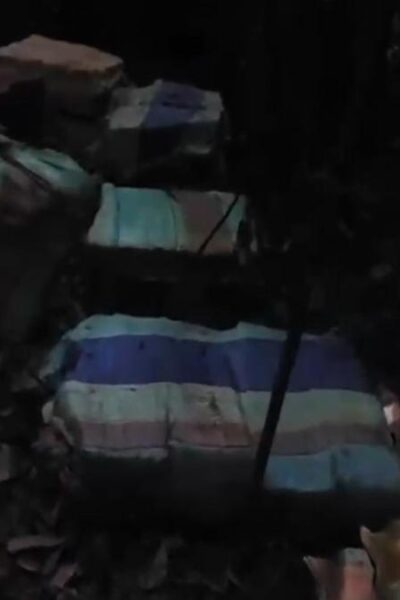 cerca de 1 3 tonelada de maconha e apreendida em sitio do am foto reproducao pc am