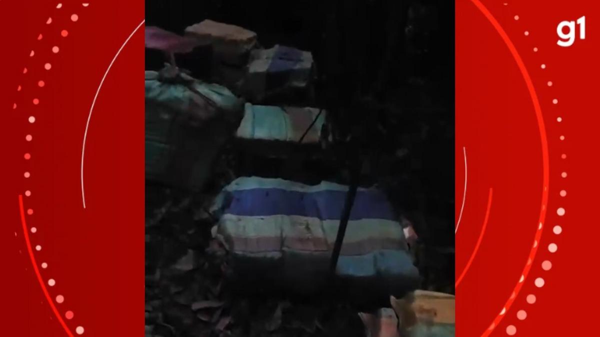 cerca de 1 3 tonelada de maconha e apreendida em sitio do am foto reproducao pc am